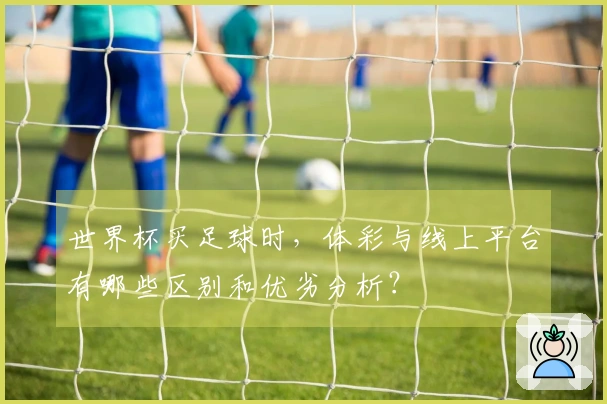 世界杯买足球时，体彩与线上平台有哪些区别和优劣分析？